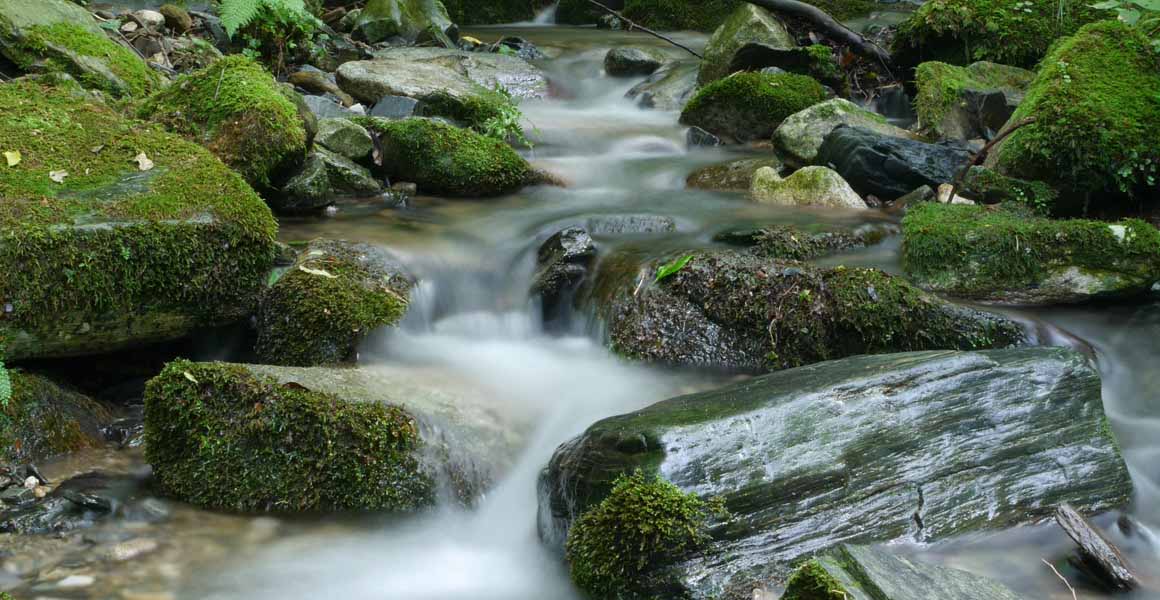 osteopathie-reiland-c2a